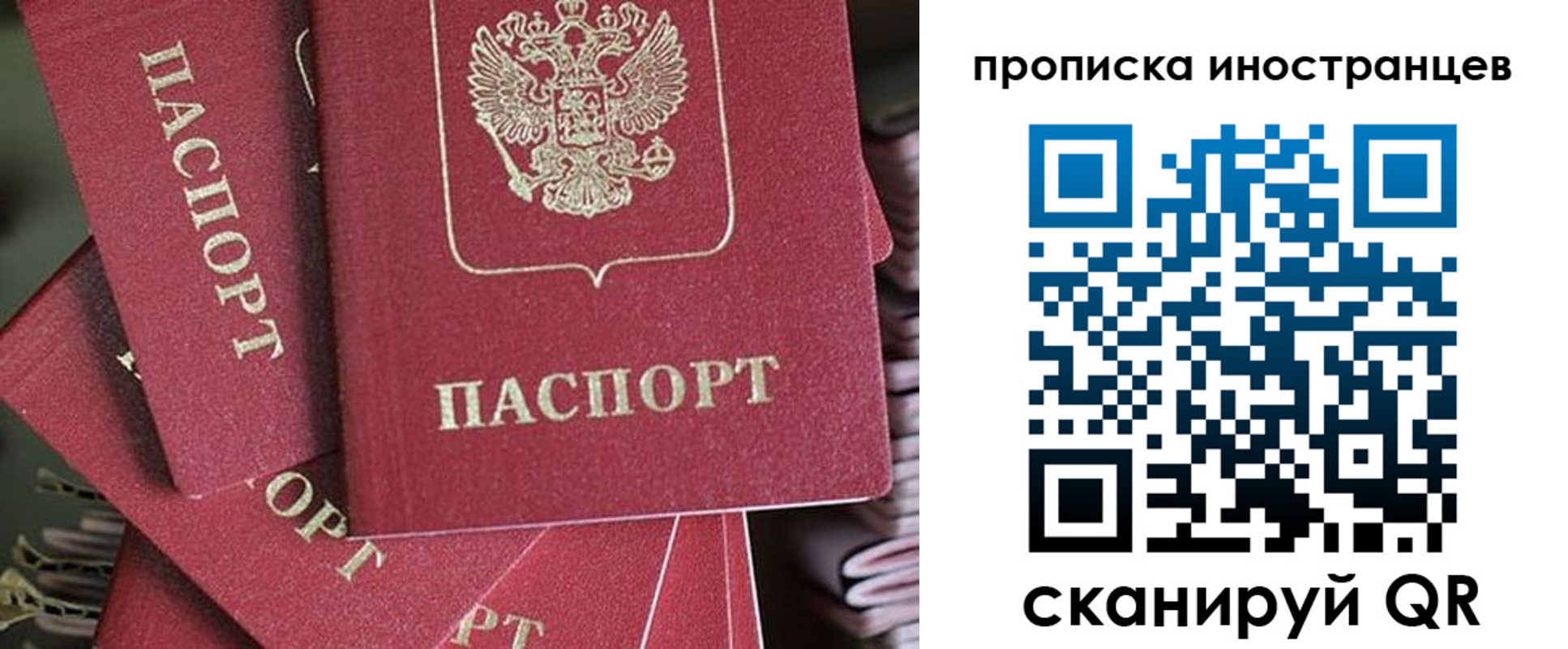 временная прописка в Сольцах